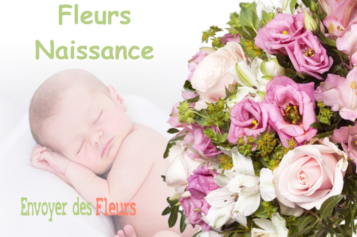 lIVRAISON FLEURS NAISSANCE à BONLIEU